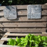 Potager de variétés anciennes au Jardin des Cinq Sens - Yvoire