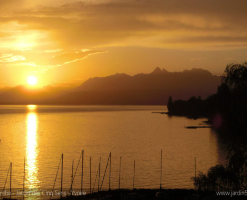 Lac Léman - lever de soleil derrière les Alpes