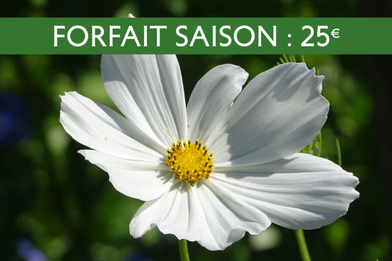 vignette site forfait saison 2026 vignette site forfait saison 2026